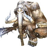 Yeti